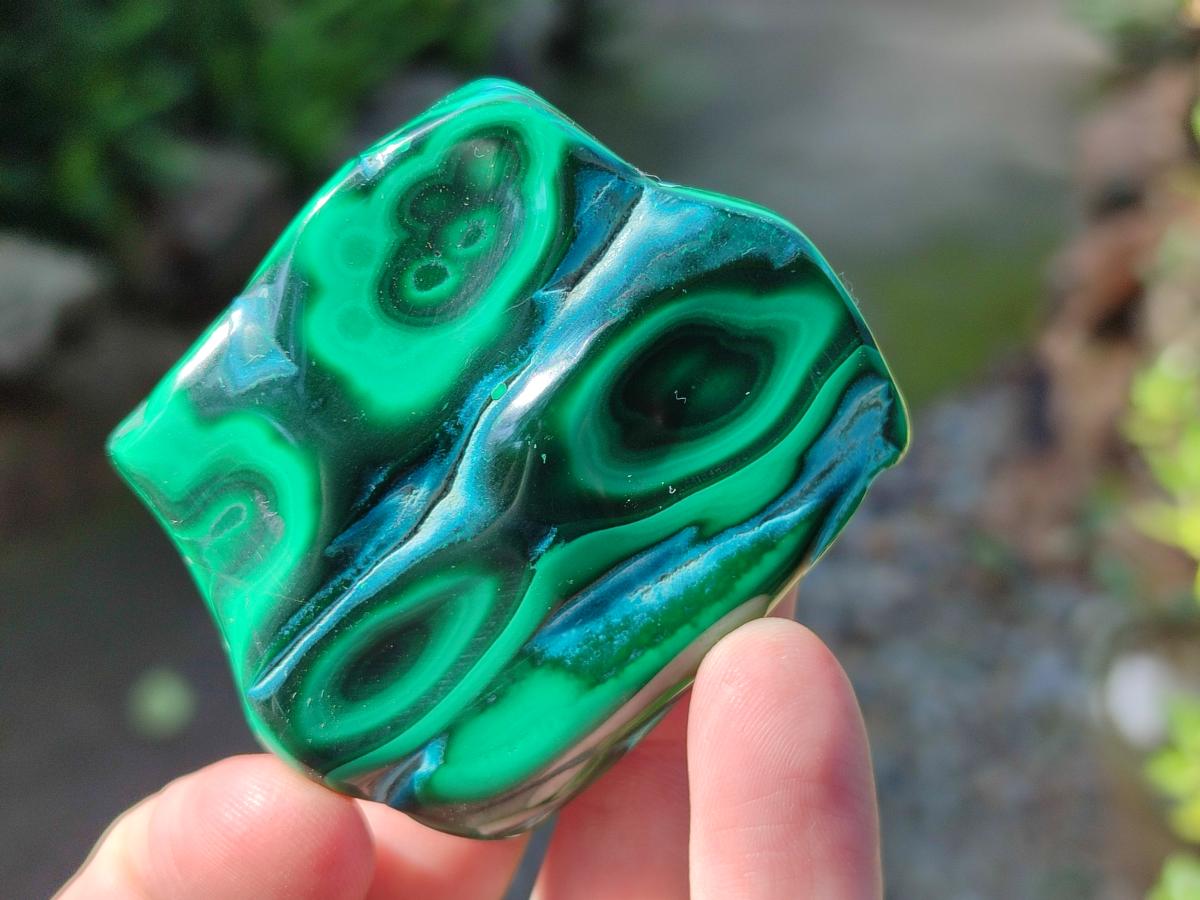 Polished Malacolla Free Forms x 12 From Kulukuluku, Congo - Toprock Gemstones and Minerals 