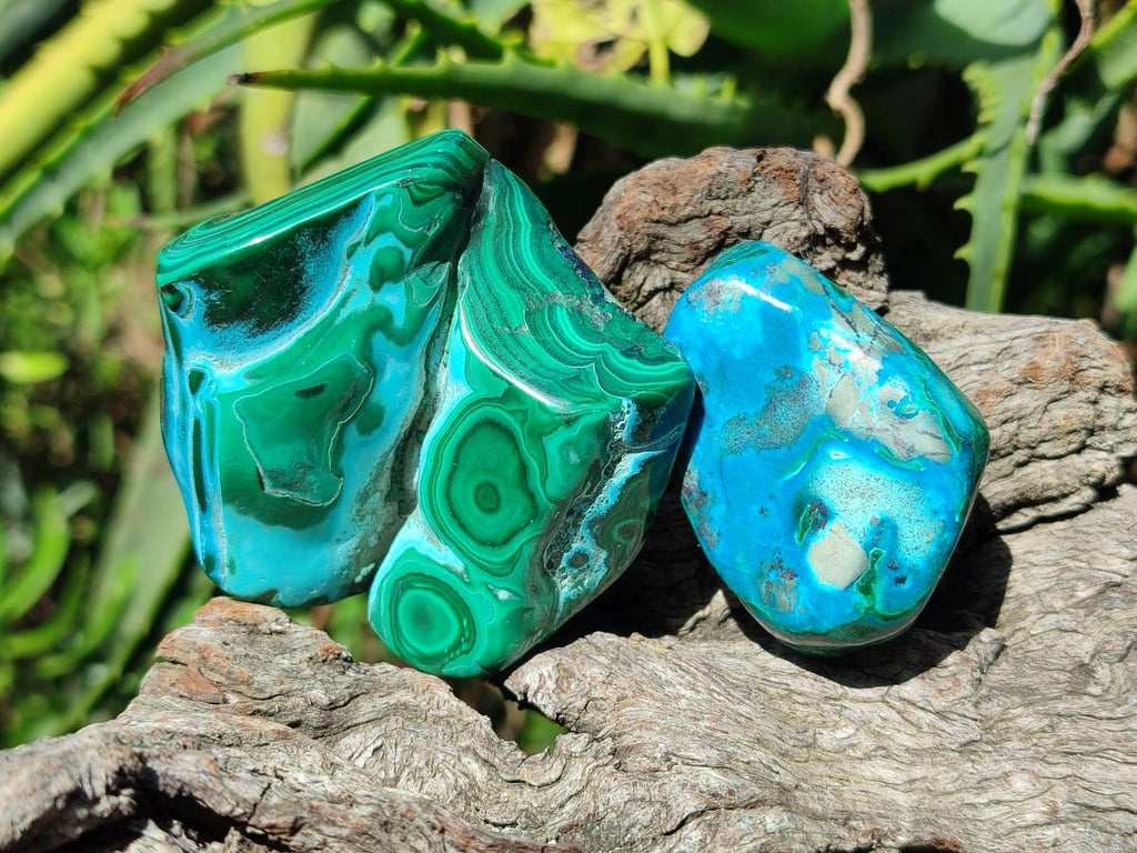 Polished Malacolla Free Forms x 12 From Kulukuluku, Congo - Toprock Gemstones and Minerals 