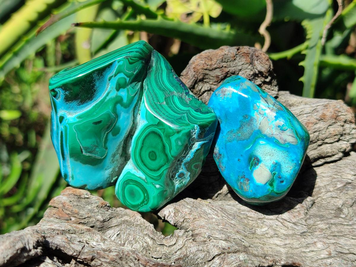 Polished Malacolla Free Forms x 12 From Kulukuluku, Congo - Toprock Gemstones and Minerals 