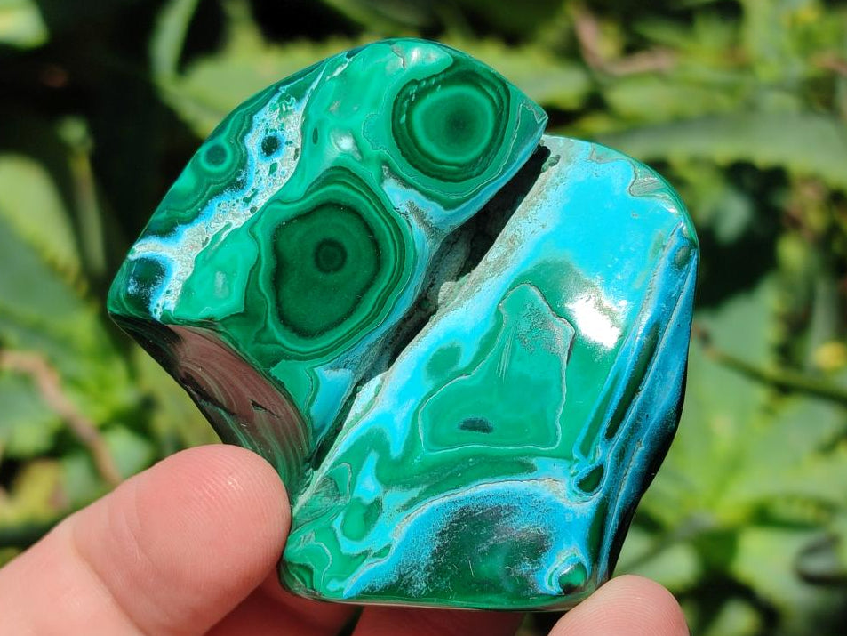 Polished Malacolla Free Forms x 12 From Kulukuluku, Congo - Toprock Gemstones and Minerals 