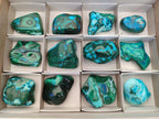 Polished Malacolla Free Forms x 12 From Kulukuluku, Congo - Toprock Gemstones and Minerals 