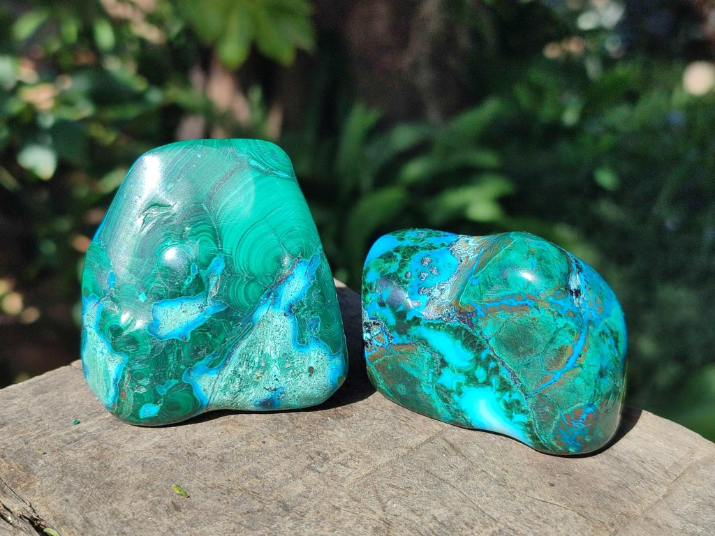Polished Malacolla Free Forms x 12 From Kulukuluku, Congo - Toprock Gemstones and Minerals 