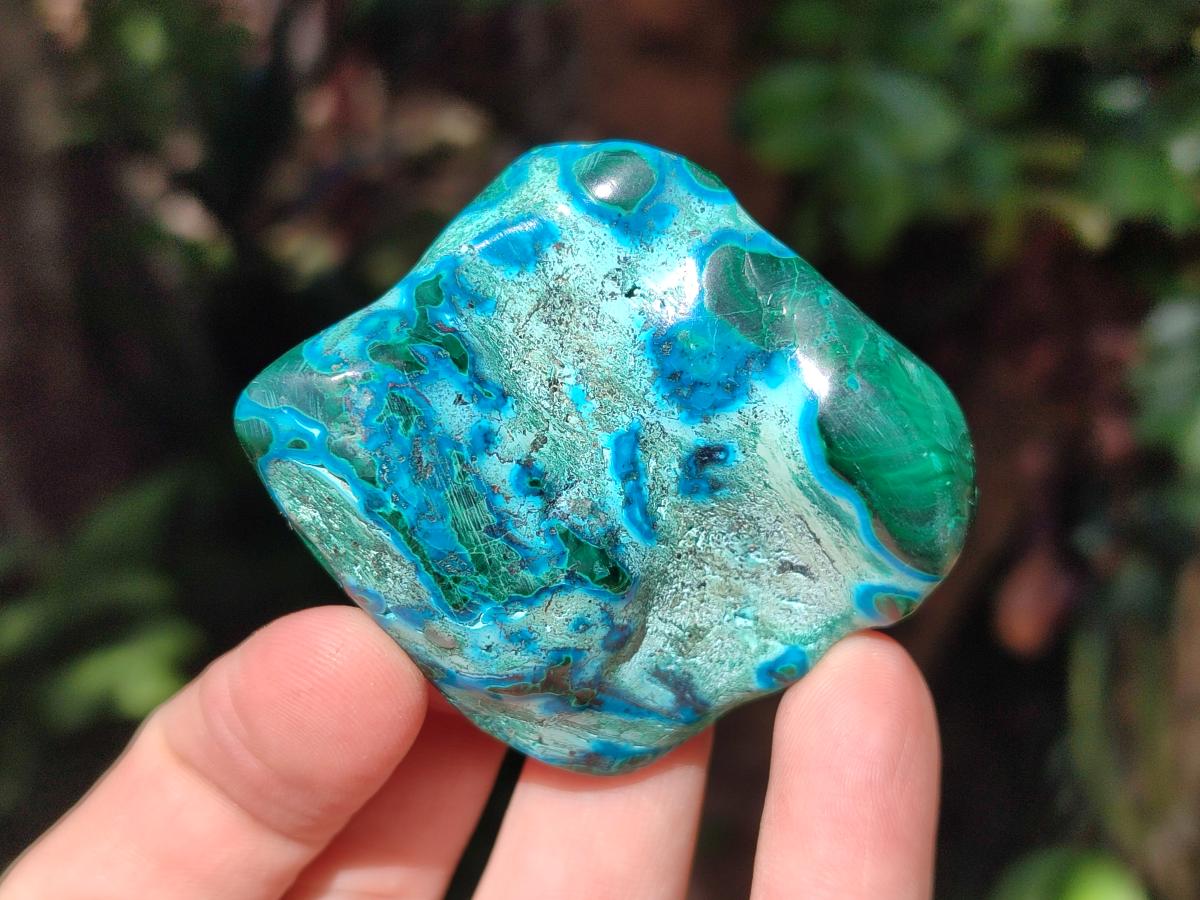 Polished Malacolla Free Forms x 12 From Kulukuluku, Congo - Toprock Gemstones and Minerals 