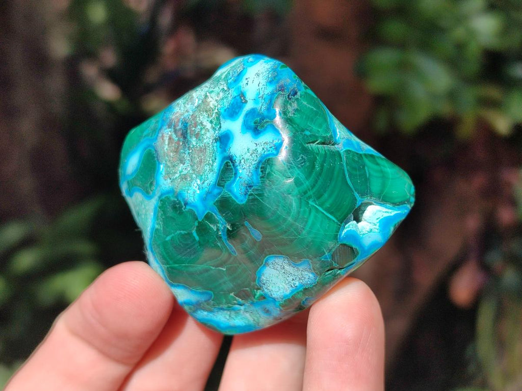 Polished Malacolla Free Forms x 12 From Kulukuluku, Congo - Toprock Gemstones and Minerals 