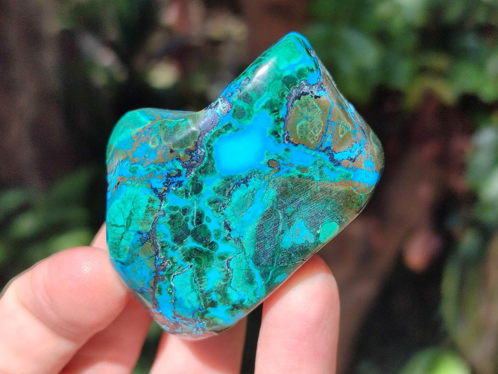 Polished Malacolla Free Forms x 12 From Kulukuluku, Congo - Toprock Gemstones and Minerals 