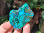 Polished Malacolla Free Forms x 12 From Kulukuluku, Congo - Toprock Gemstones and Minerals 