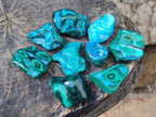 Polished Malacolla Free Forms x 12 From Kulukuluku, Congo - Toprock Gemstones and Minerals 
