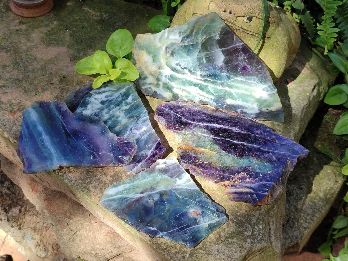 Polished Watermelon Fluorite Slices x 7 From Uis, Namibia - Toprock Gemstones and Minerals 