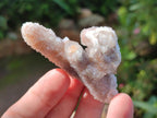 Natural Smokey Spirit Quartz Clusters with Hematoid Coating x 35 From Boekenhouthoek, South Africa - Toprock Gemstones and Minerals 