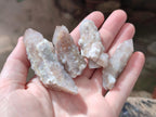 Natural Smokey Spirit Quartz Clusters with Hematoid Coating x 35 From Boekenhouthoek, South Africa - Toprock Gemstones and Minerals 