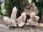Natural Smokey Spirit Quartz Clusters with Hematoid Coating x 35 From Boekenhouthoek, South Africa - Toprock Gemstones and Minerals 