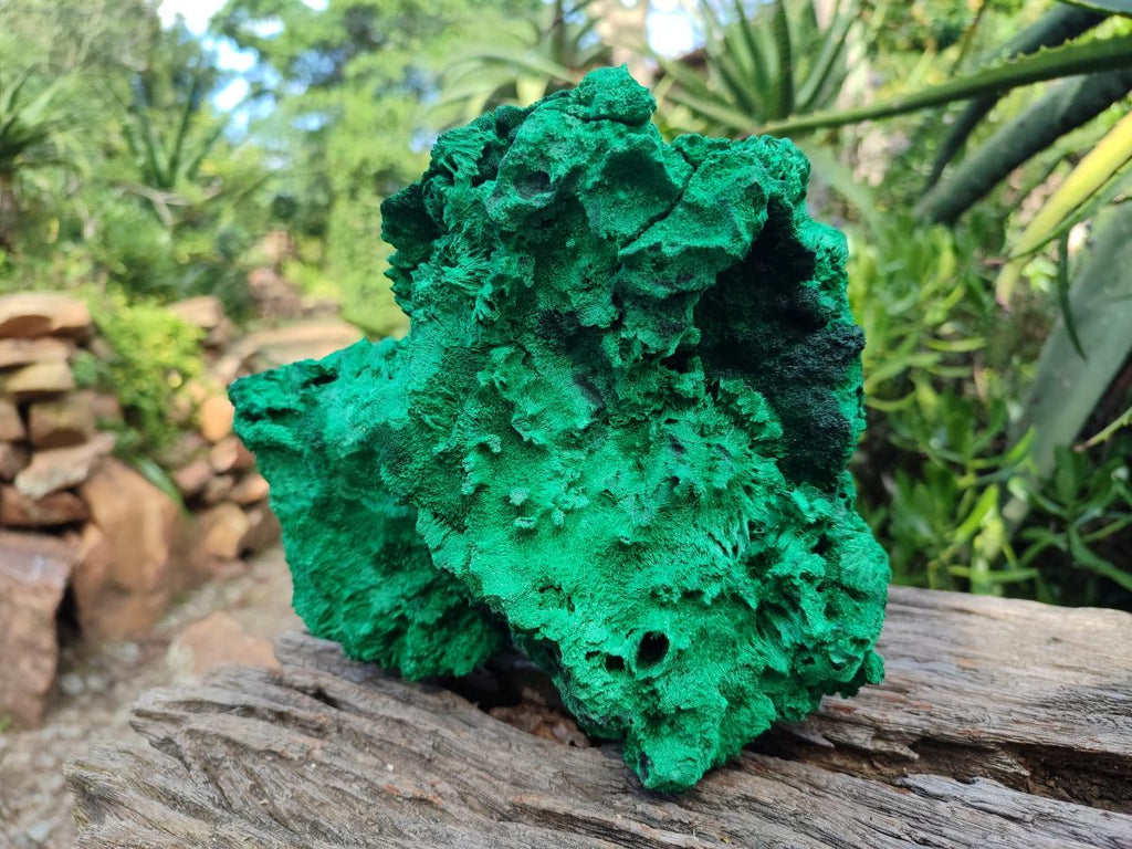 Natural XL Silky Malachite Specimen x 1 From Kasompe, Congo - Toprock Gemstones and Minerals 