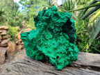 Natural XL Silky Malachite Specimen x 1 From Kasompe, Congo - Toprock Gemstones and Minerals 