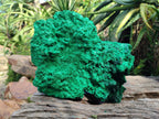 Natural XL Silky Malachite Specimen x 1 From Kasompe, Congo - Toprock Gemstones and Minerals 
