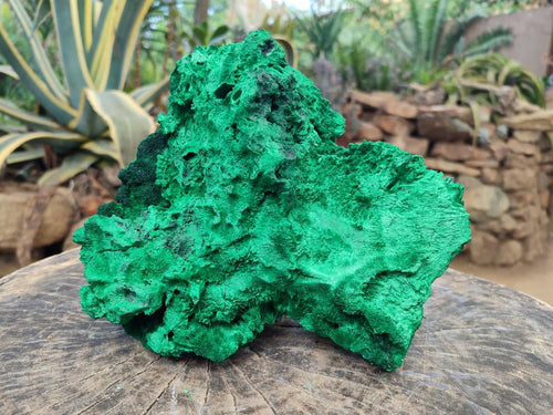 Natural XL Silky Malachite Specimen x 1 From Kasompe, Congo - Toprock Gemstones and Minerals 