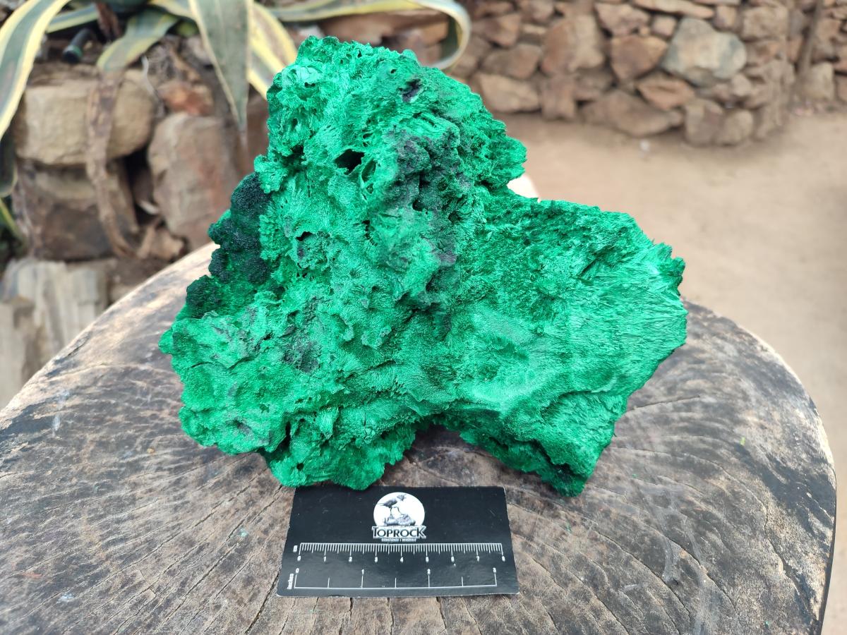 Natural XL Silky Malachite Specimen x 1 From Kasompe, Congo - Toprock Gemstones and Minerals 