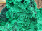 Natural XL Silky Malachite Specimen x 1 From Kasompe, Congo - Toprock Gemstones and Minerals 