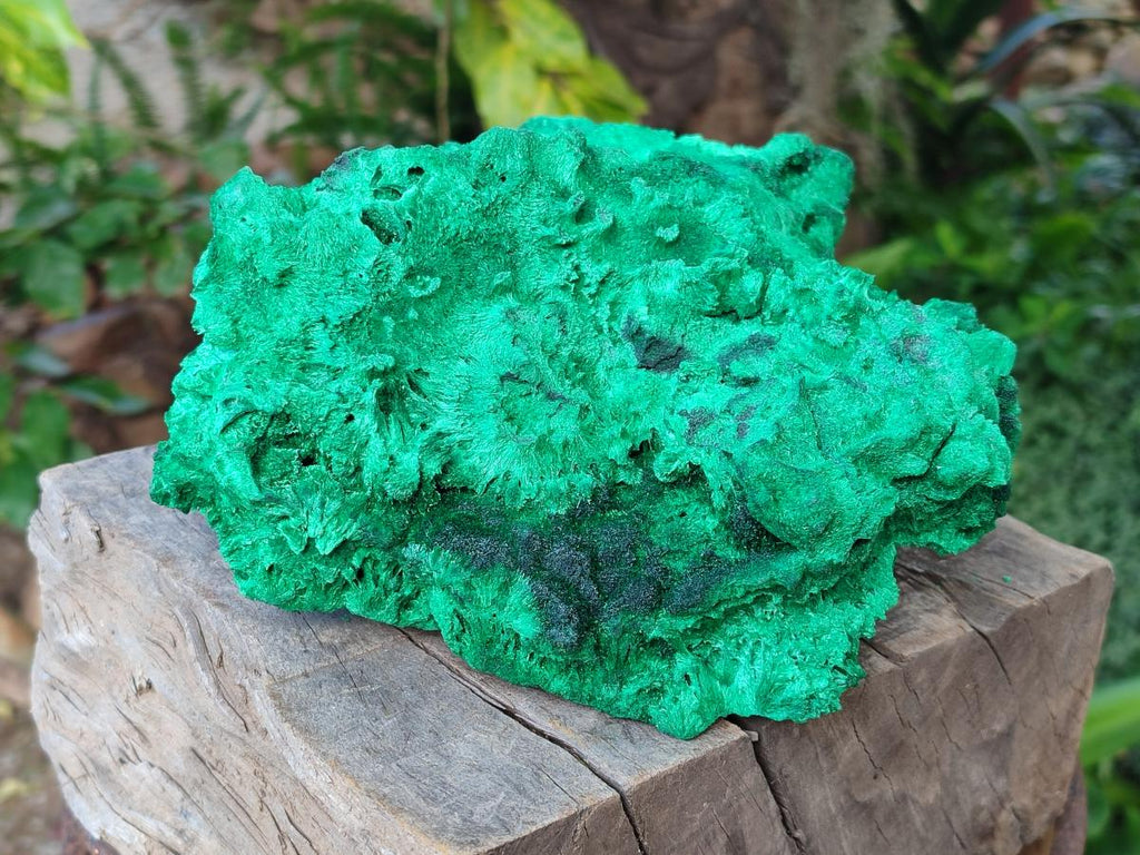 Natural XL Silky Malachite Specimen x 1 From Kasompe, Congo - Toprock Gemstones and Minerals 