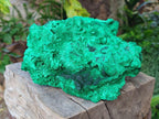 Natural XL Silky Malachite Specimen x 1 From Kasompe, Congo - Toprock Gemstones and Minerals 