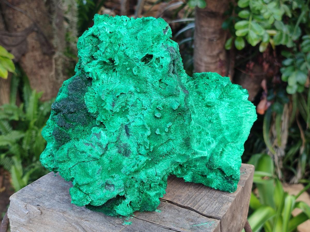 Natural XL Silky Malachite Specimen x 1 From Kasompe, Congo - Toprock Gemstones and Minerals 