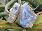 Natural Blue Lace Agate Geode Specimens x 3 From Nsanje, Malawi - Toprock Gemstones and Minerals 