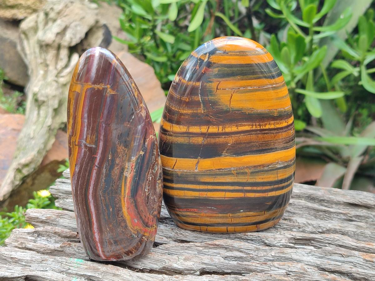 Polished Banded Tiger Iron Standing Display Pieces x 2 From South Africa - Toprock Gemstones and Minerals 
