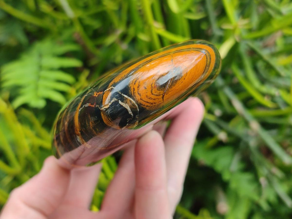 Polished Banded Tiger Iron Standing Display Pieces x 2 From South Africa - Toprock Gemstones and Minerals 