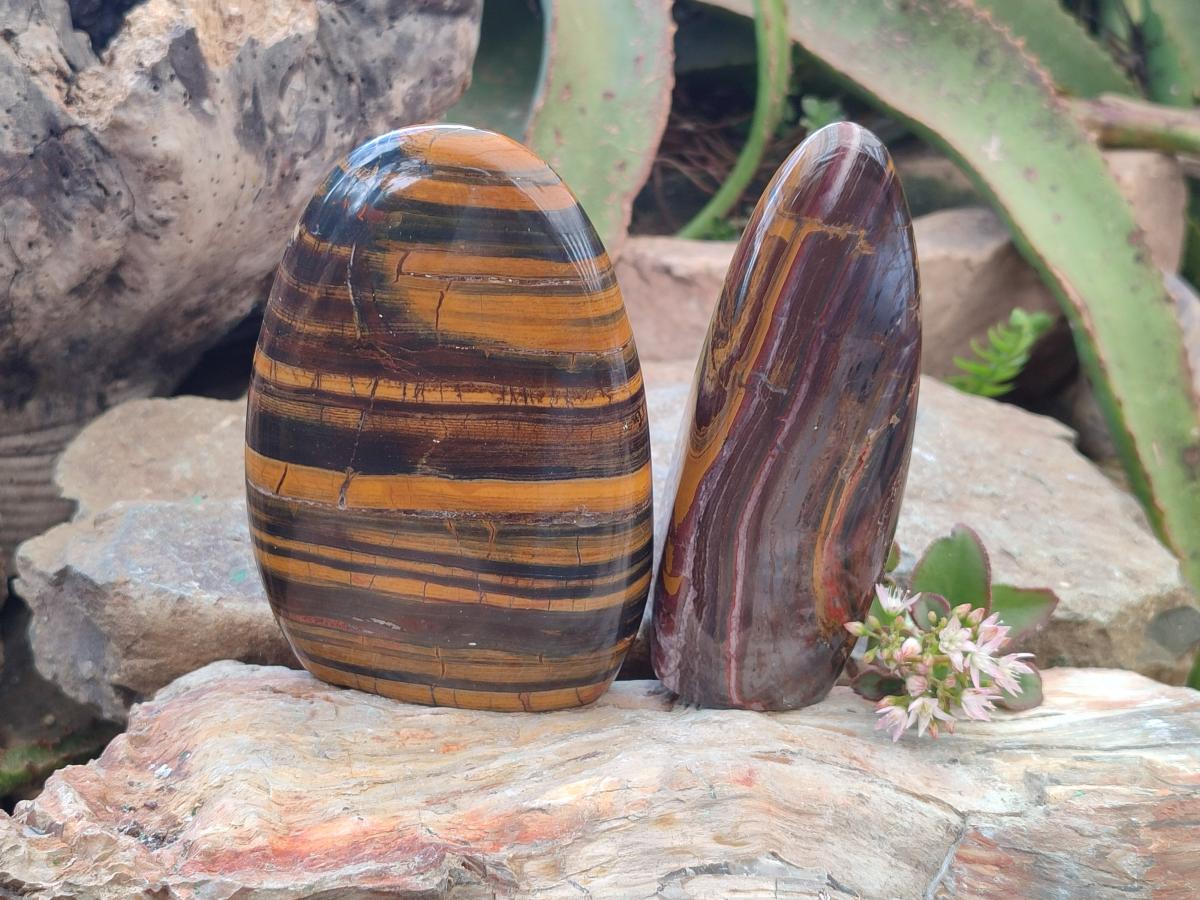 Polished Banded Tiger Iron Standing Display Pieces x 2 From South Africa - Toprock Gemstones and Minerals 