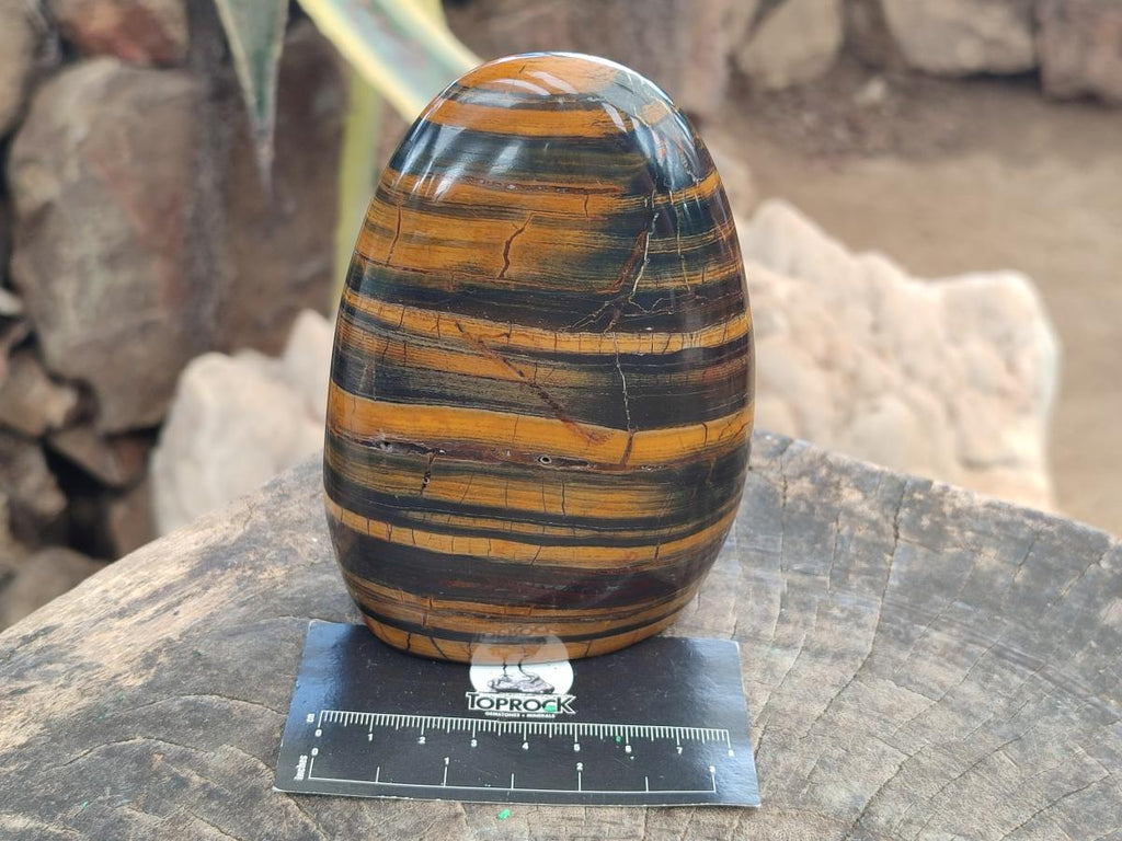 Polished Banded Tiger Iron Standing Display Pieces x 2 From South Africa - Toprock Gemstones and Minerals 