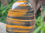 Polished Banded Tiger Iron Standing Display Pieces x 2 From South Africa - Toprock Gemstones and Minerals 