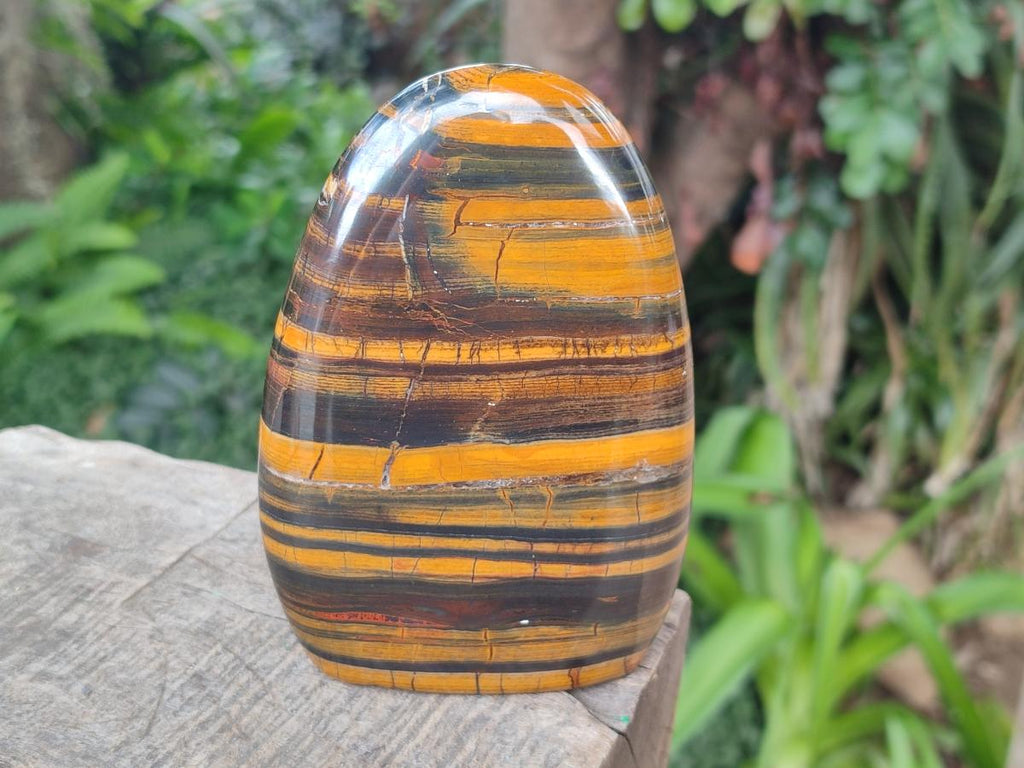 Polished Banded Tiger Iron Standing Display Pieces x 2 From South Africa - Toprock Gemstones and Minerals 