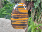 Polished Banded Tiger Iron Standing Display Pieces x 2 From South Africa - Toprock Gemstones and Minerals 