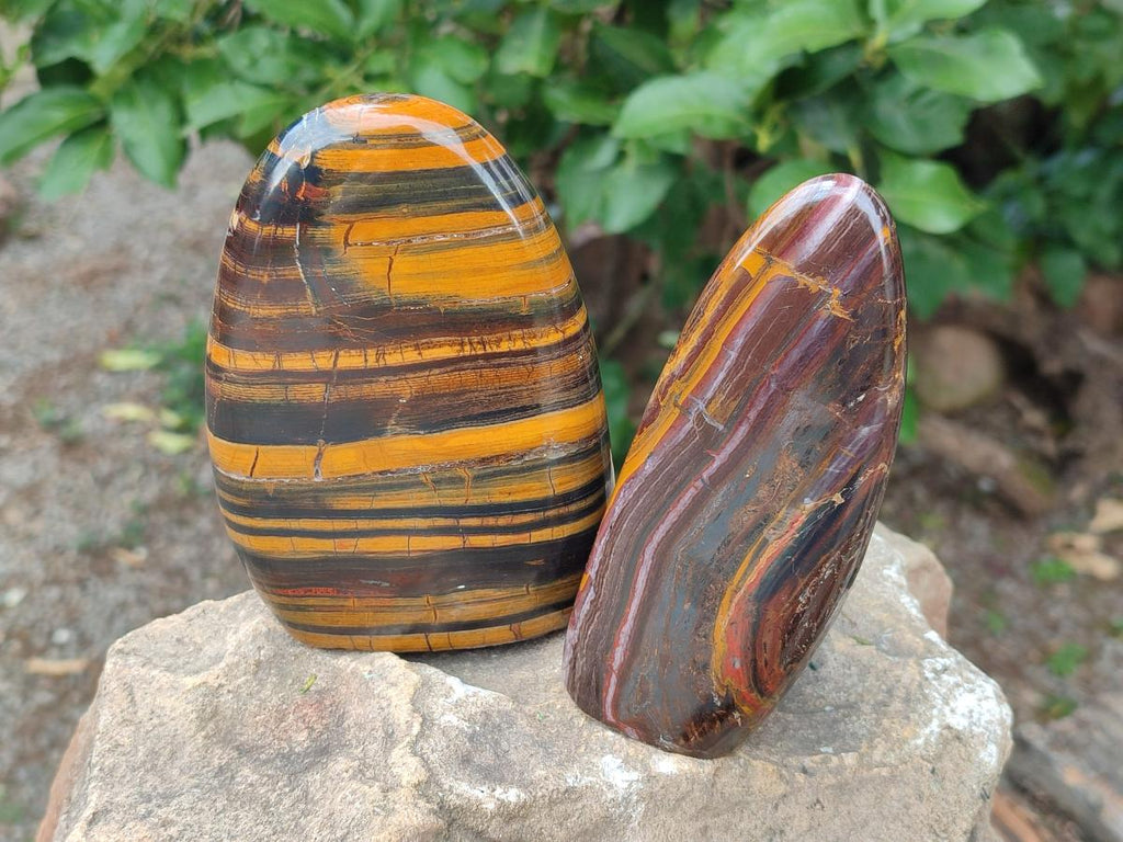 Polished Banded Tiger Iron Standing Display Pieces x 2 From South Africa - Toprock Gemstones and Minerals 