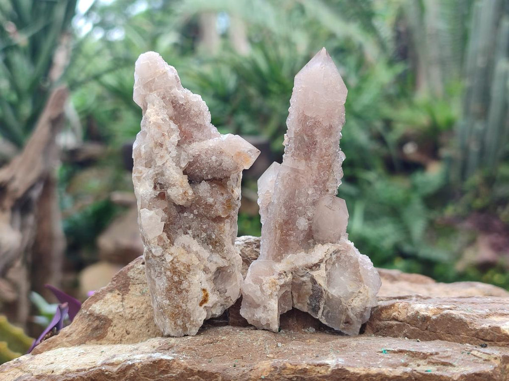 Natural Limonite Tinted Smokey Spirit Quartz Clusters x 12 From Boekenhouthoek, South Africa - Toprock Gemstones and Minerals 