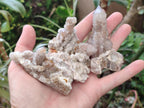Natural Limonite Tinted Smokey Spirit Quartz Clusters x 12 From Boekenhouthoek, South Africa - Toprock Gemstones and Minerals 