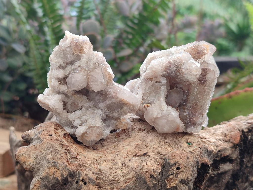 Natural Limonite Tinted Smokey Spirit Quartz Clusters x 12 From Boekenhouthoek, South Africa - Toprock Gemstones and Minerals 