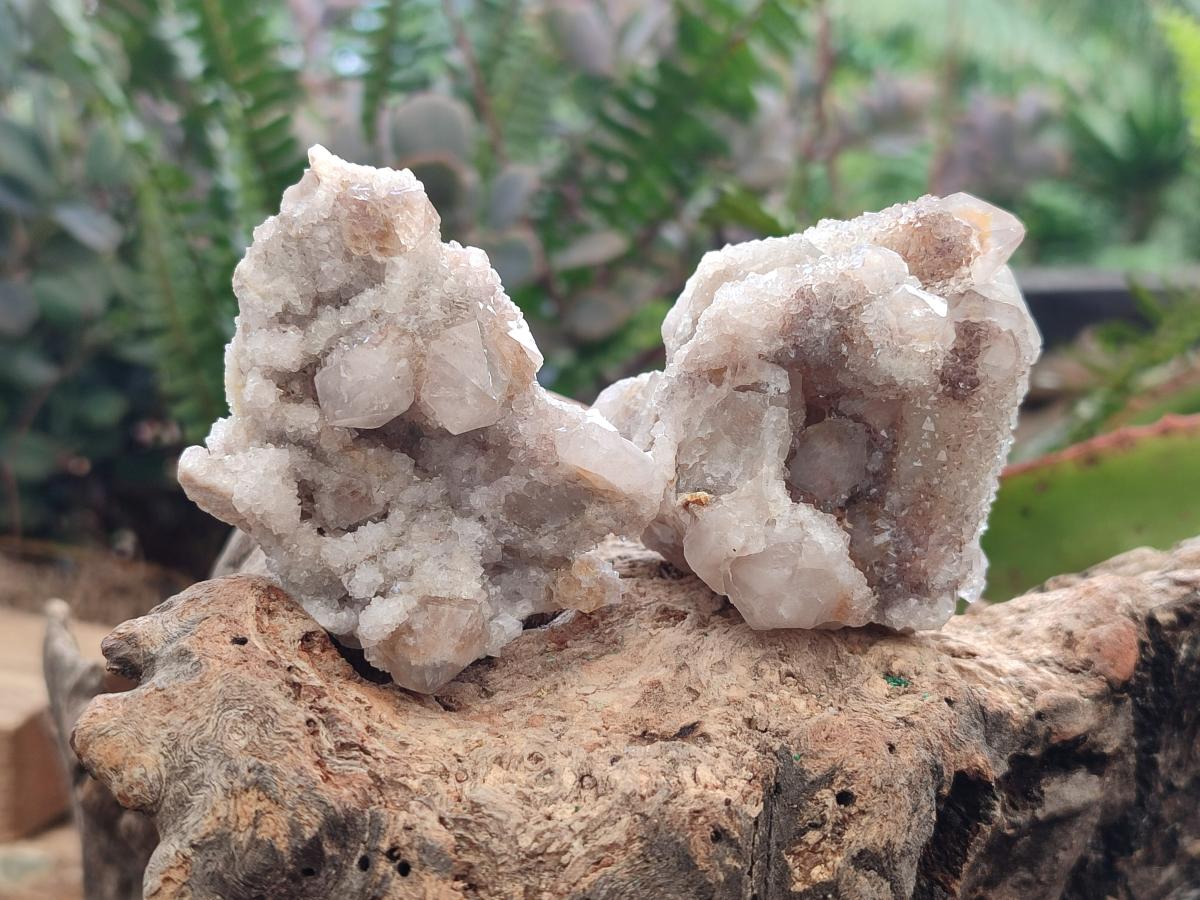 Natural Limonite Tinted Smokey Spirit Quartz Clusters x 12 From Boekenhouthoek, South Africa - Toprock Gemstones and Minerals 