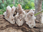 Natural Limonite Tinted Smokey Spirit Quartz Clusters x 12 From Boekenhouthoek, South Africa - Toprock Gemstones and Minerals 