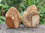 Polished Picture Stone Jasper Standing Display Pieces x 2 From Ais-Ais, Namibia - Toprock Gemstones and Minerals 