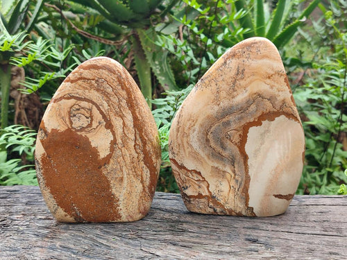 Polished Picture Stone Jasper Standing Display Pieces x 2 From Ais-Ais, Namibia - Toprock Gemstones and Minerals 