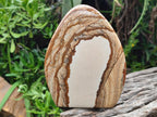 Polished Picture Stone Jasper Standing Display Pieces x 2 From Ais-Ais, Namibia - Toprock Gemstones and Minerals 