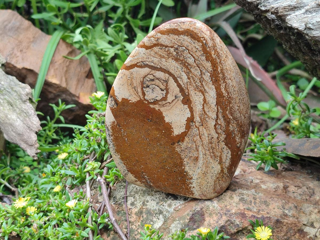 Polished Picture Stone Jasper Standing Display Pieces x 2 From Ais-Ais, Namibia - Toprock Gemstones and Minerals 