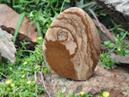 Polished Picture Stone Jasper Standing Display Pieces x 2 From Ais-Ais, Namibia - Toprock Gemstones and Minerals 