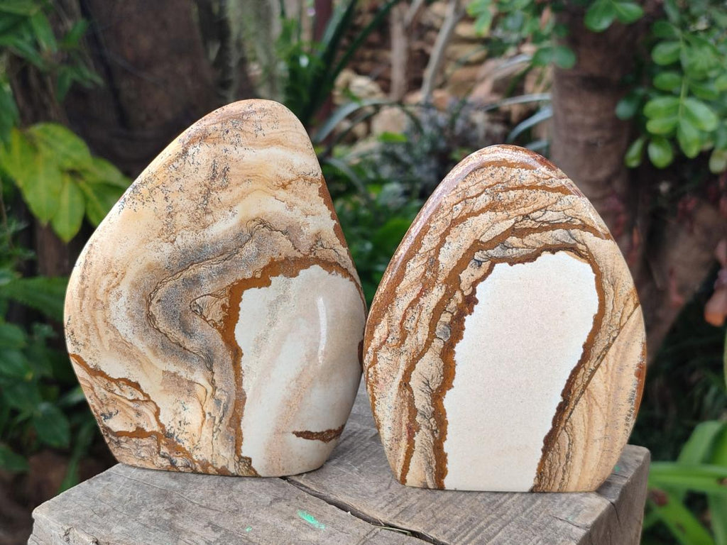 Polished Picture Stone Jasper Standing Display Pieces x 2 From Ais-Ais, Namibia - Toprock Gemstones and Minerals 