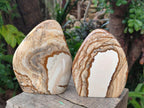 Polished Picture Stone Jasper Standing Display Pieces x 2 From Ais-Ais, Namibia - Toprock Gemstones and Minerals 