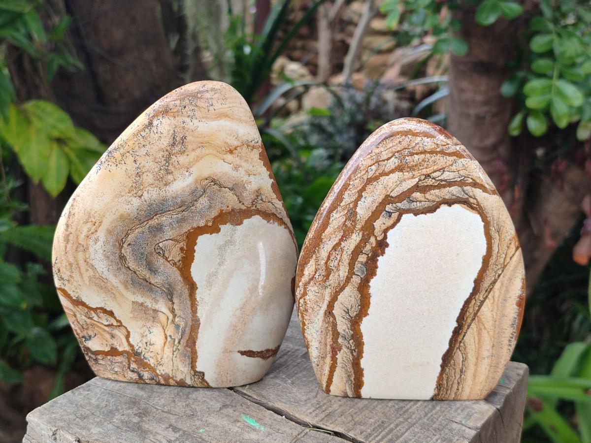 Polished Picture Stone Jasper Standing Display Pieces x 2 From Ais-Ais, Namibia - Toprock Gemstones and Minerals 