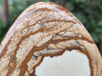Polished Picture Stone Jasper Standing Display Pieces x 2 From Ais-Ais, Namibia - Toprock Gemstones and Minerals 