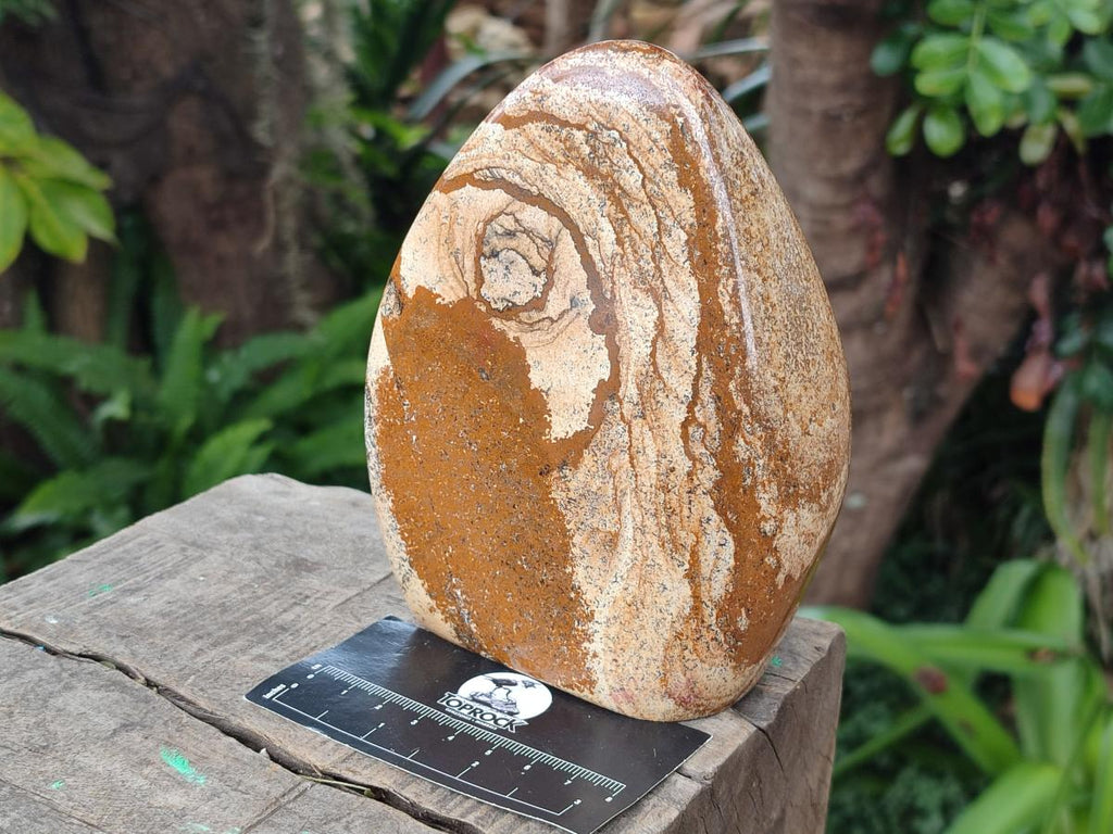 Polished Picture Stone Jasper Standing Display Pieces x 2 From Ais-Ais, Namibia - Toprock Gemstones and Minerals 