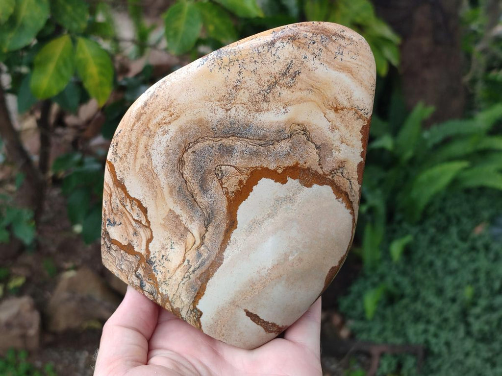 Polished Picture Stone Jasper Standing Display Pieces x 2 From Ais-Ais, Namibia - Toprock Gemstones and Minerals 