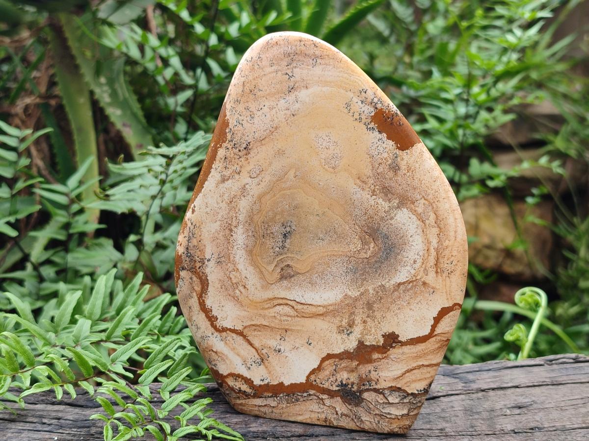 Polished Picture Stone Jasper Standing Display Pieces x 2 From Ais-Ais, Namibia - Toprock Gemstones and Minerals 